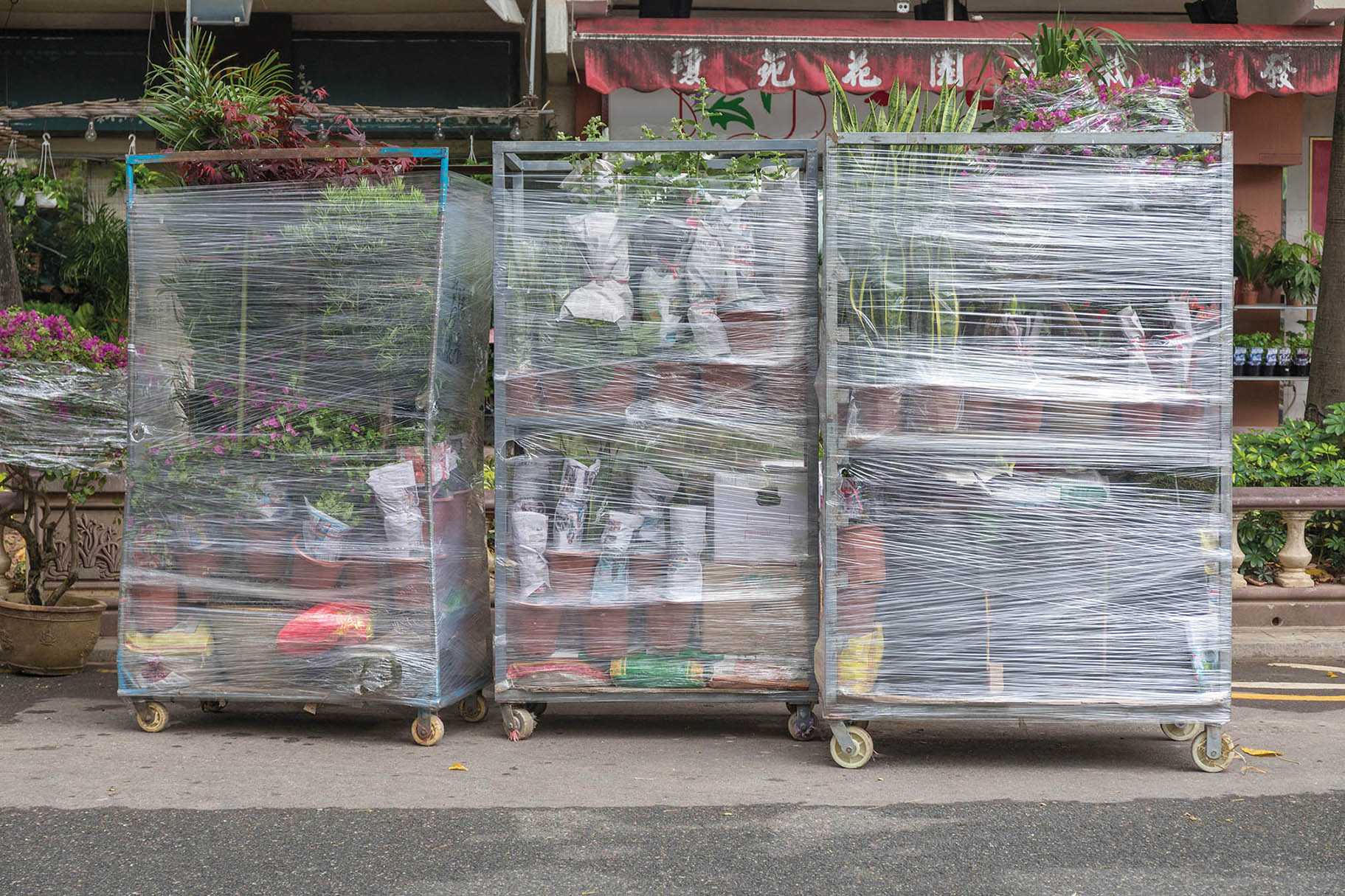 Film étirable machine cast haute performance