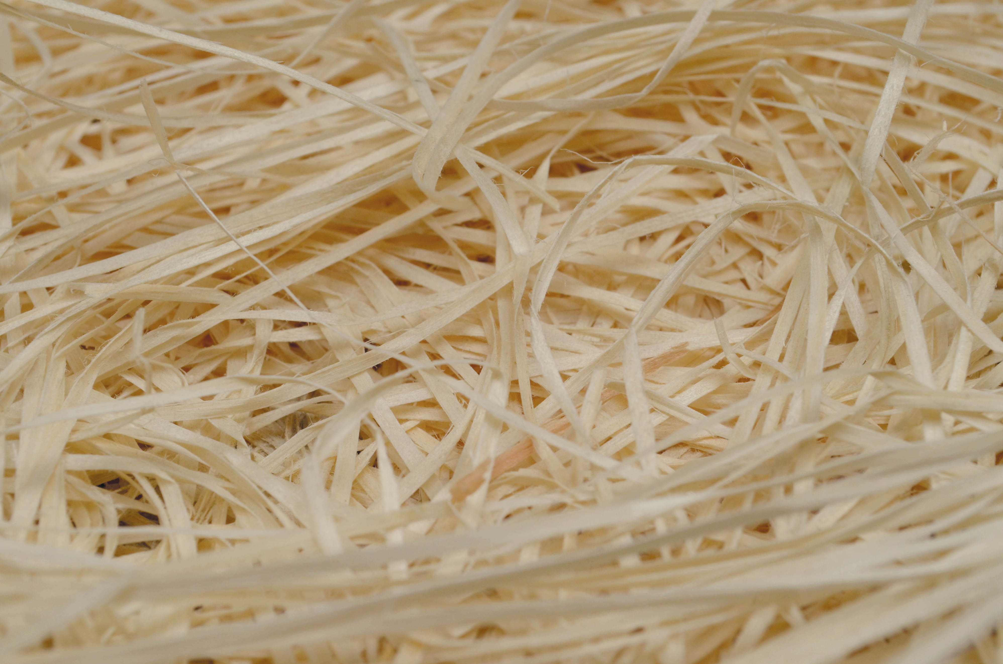 Fibre de bois et frisure papier
