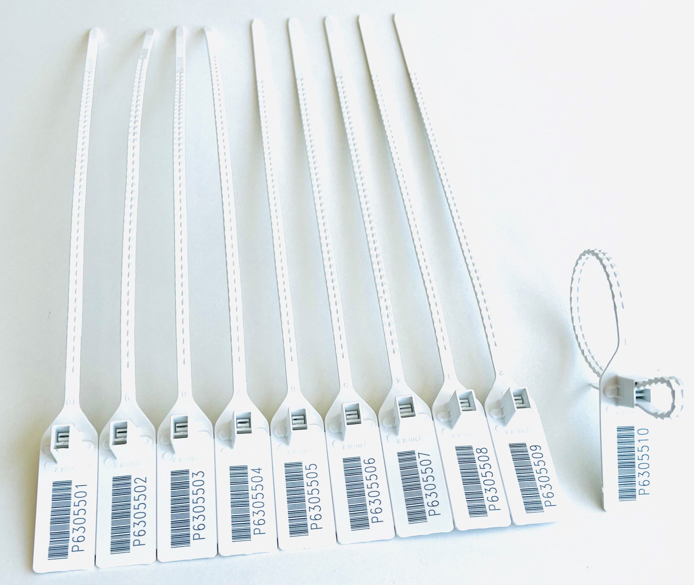 Scellé de sécurité biodégradable à tige plate avec double insert