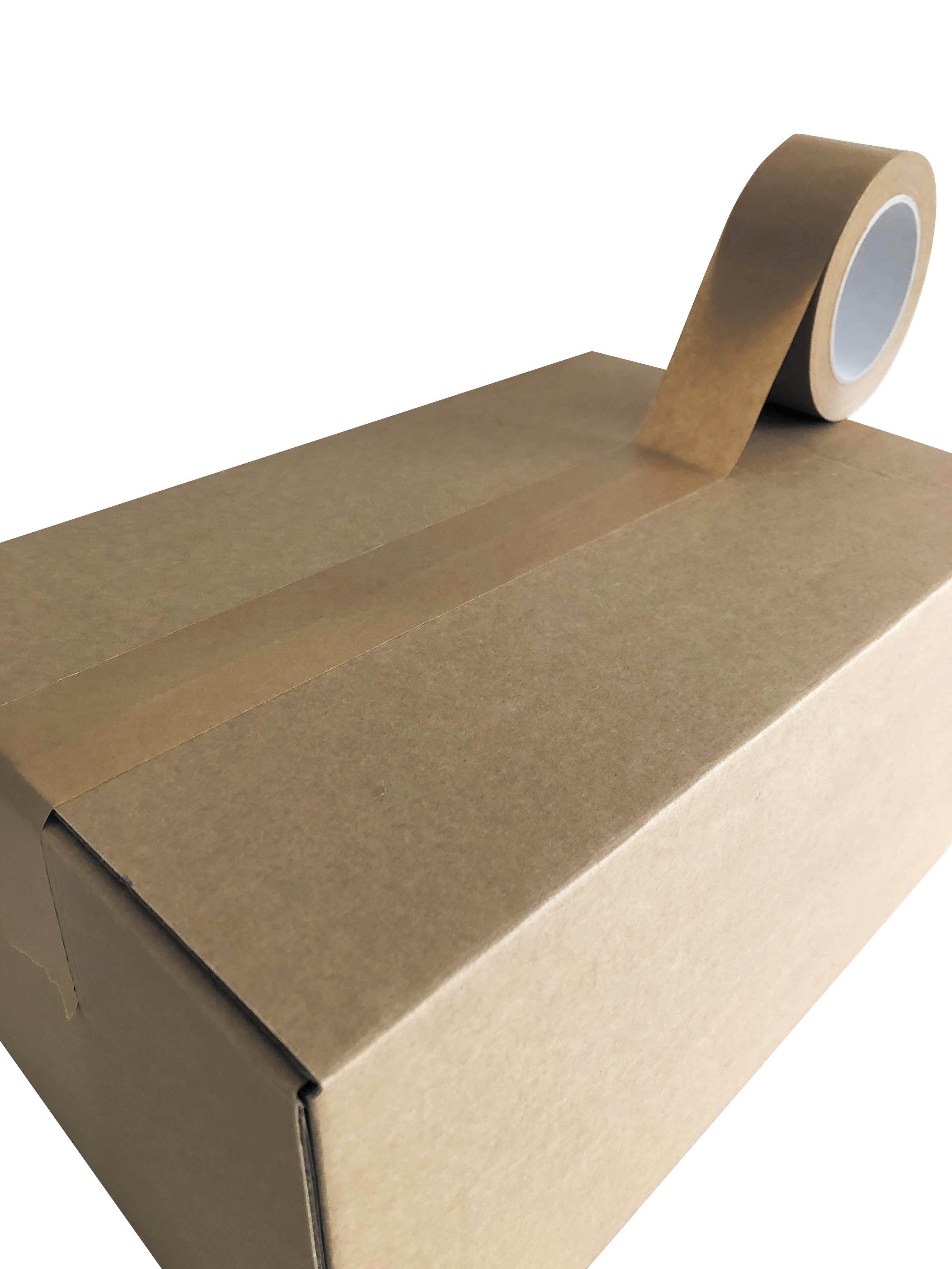 Kraft adhésif standard