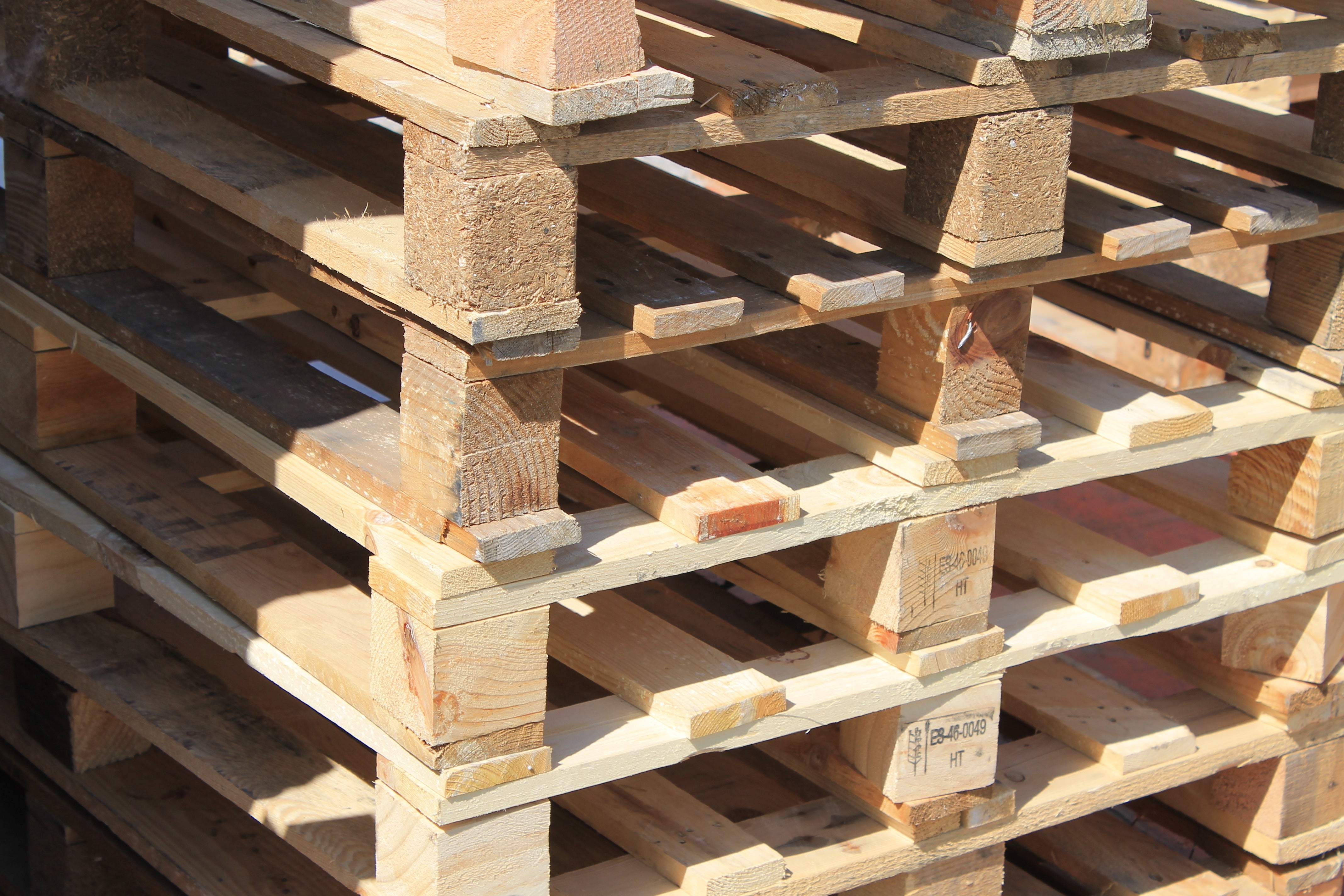 Palette perdue occasion